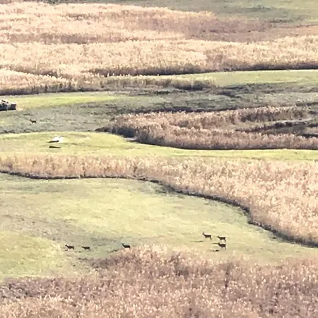 Adeline Bed & Breakfast 3*