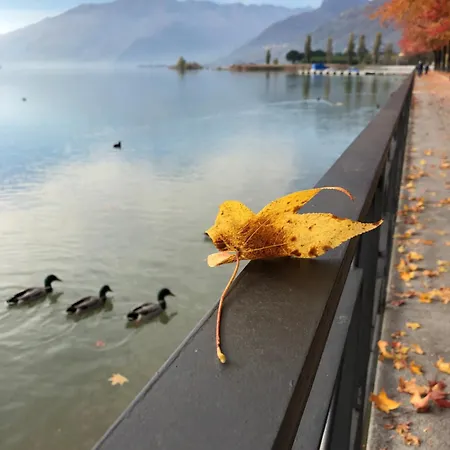 Bed & Breakfast Adeline