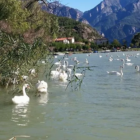 Adeline Oda ve Kahvaltı Dascio