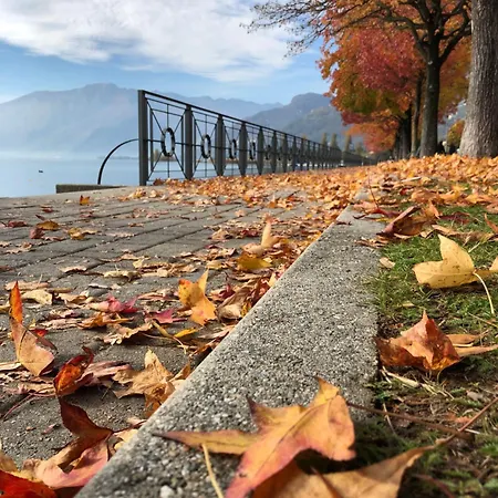 Bed & Breakfast Adeline Dascio