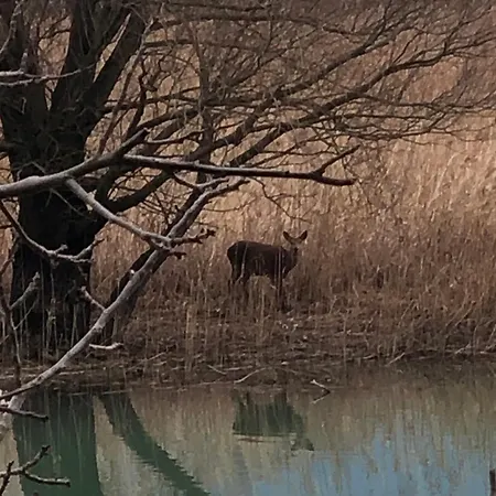 Bed & Breakfast Adeline 3*