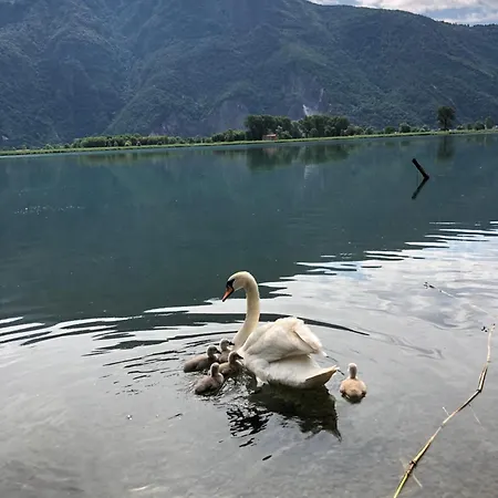 Adeline Bed & Breakfast Dascio